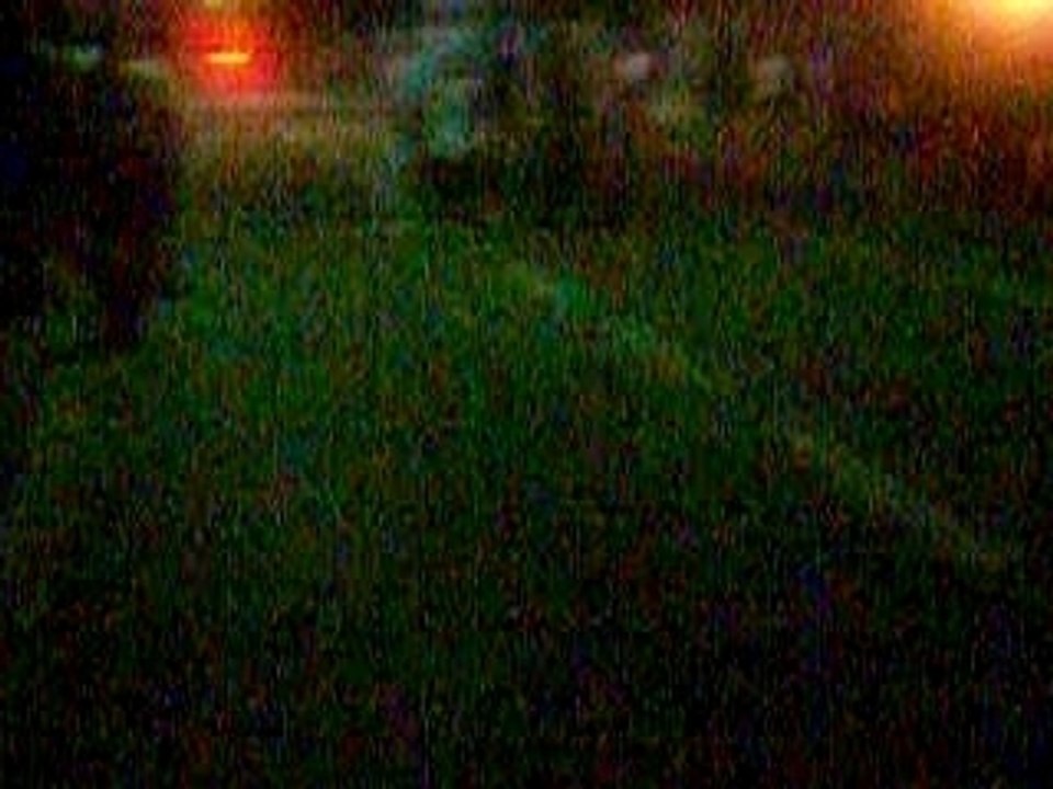 Dscn0383