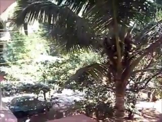 Service apartments in Goa for groups and families