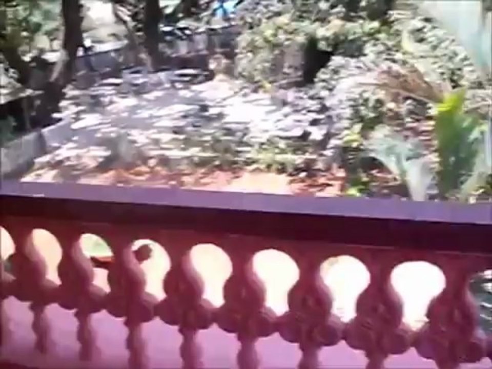 Service apartments near Calangute and Baga, Goa