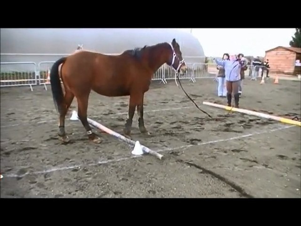 Sandrine 17/03/2013 Equifeel