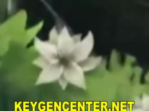 [FR] Télécharger Guild Wars 2 # JEU COMPLET and KEYGEN CRACK PIRATER