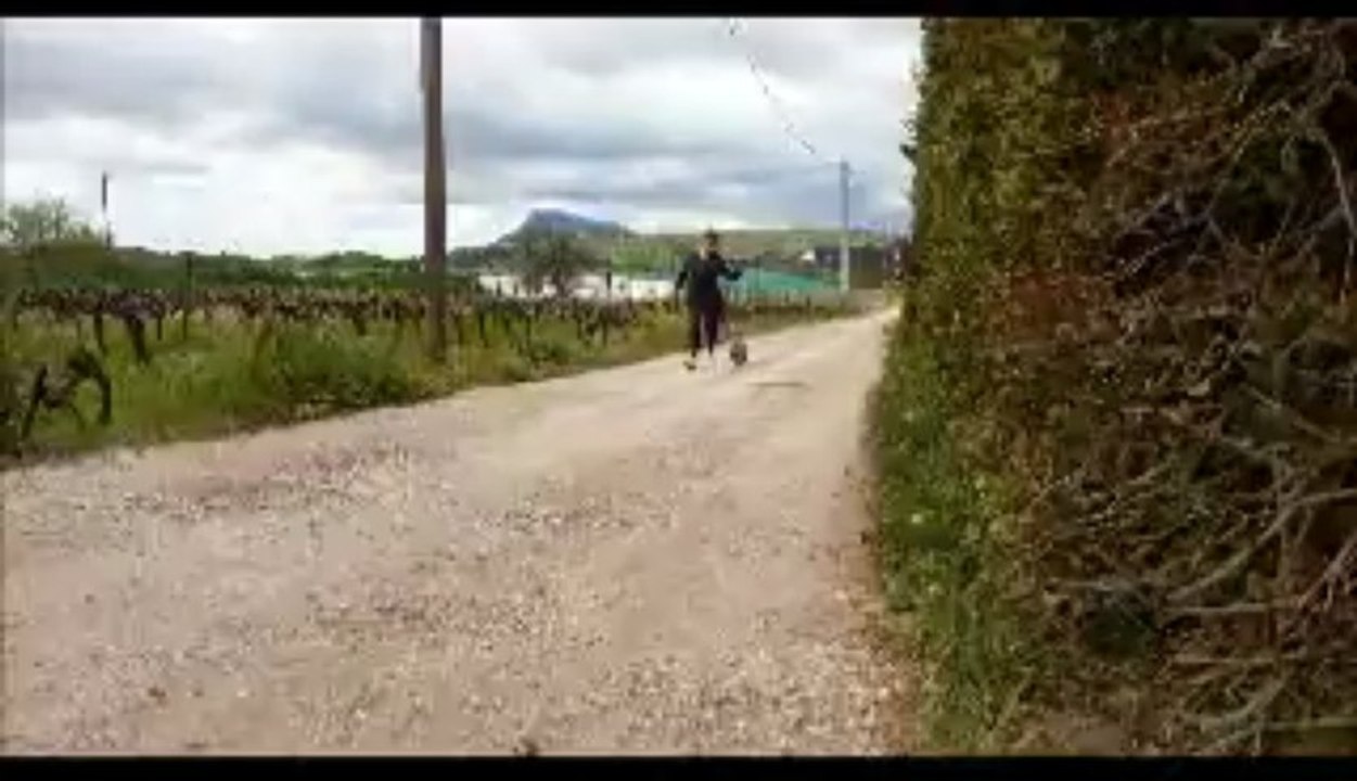 Training1