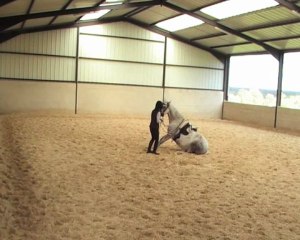 19.04.13 3è séance rectitude et allongement