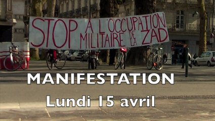 Manifestation en soutien aux opposants de l'aéroport