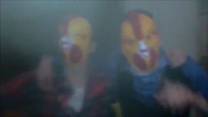 Chickens can party hard !!!