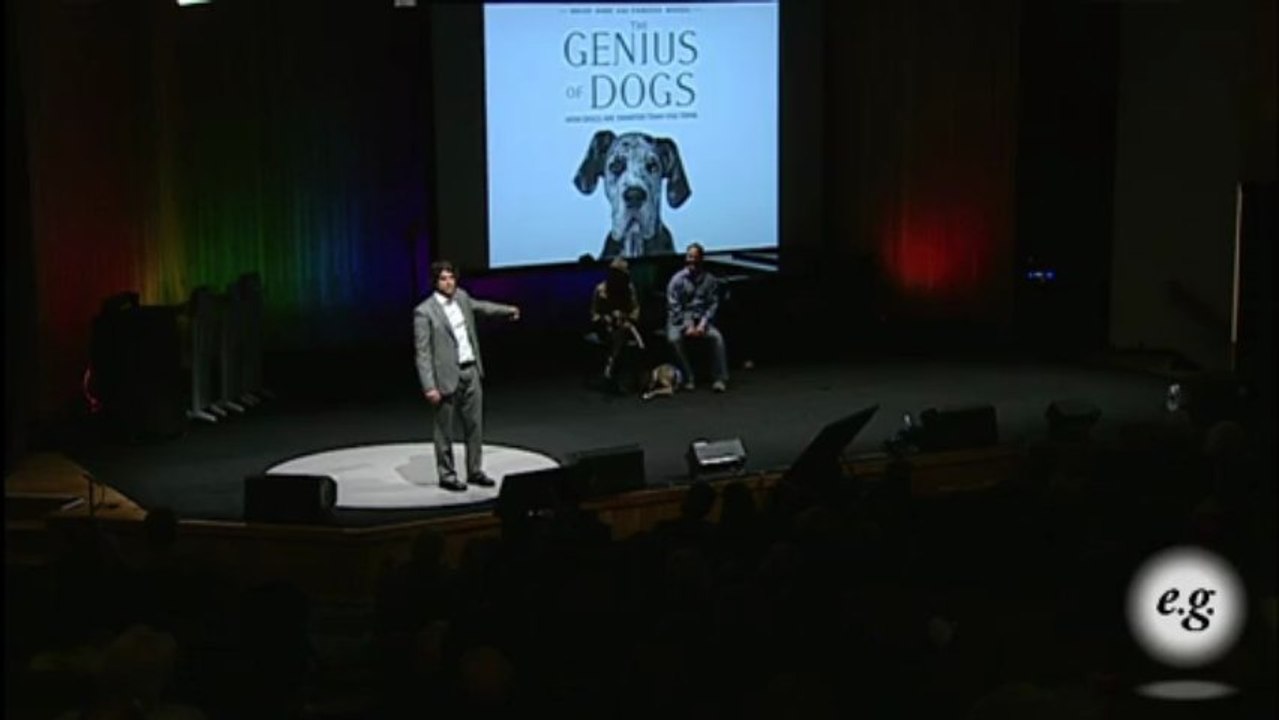 The Hidden Genius of Dogs
