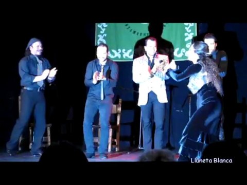 Pepe Flores Fin de Fiesta Flamenco por Derecho Bargas (Toledo) 19/4/13