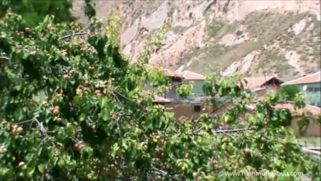 Köyümüzden Karisik Kisa Karisik Görüntüler - Mahmutlu Koyu