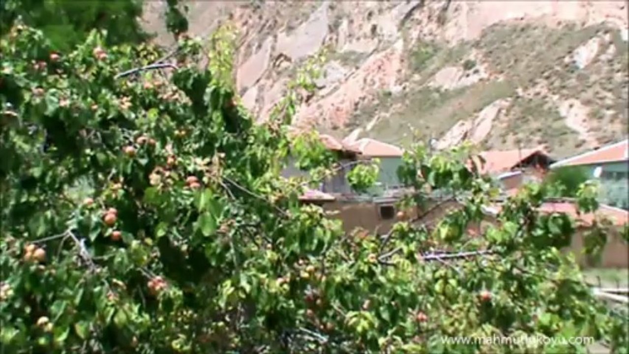 Köyümüzden Karisik Kisa Karisik Görüntüler - Mahmutlu Koyu