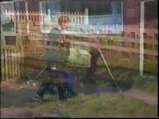 Buddy Holly everyday