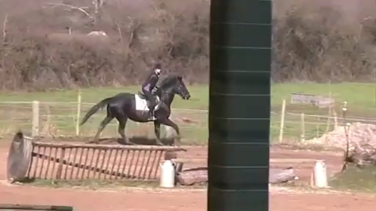 CSO Centaures Mars 2013 - Émilie