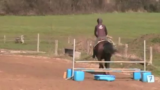 CSO Centaures Mars 2013 - Cécile