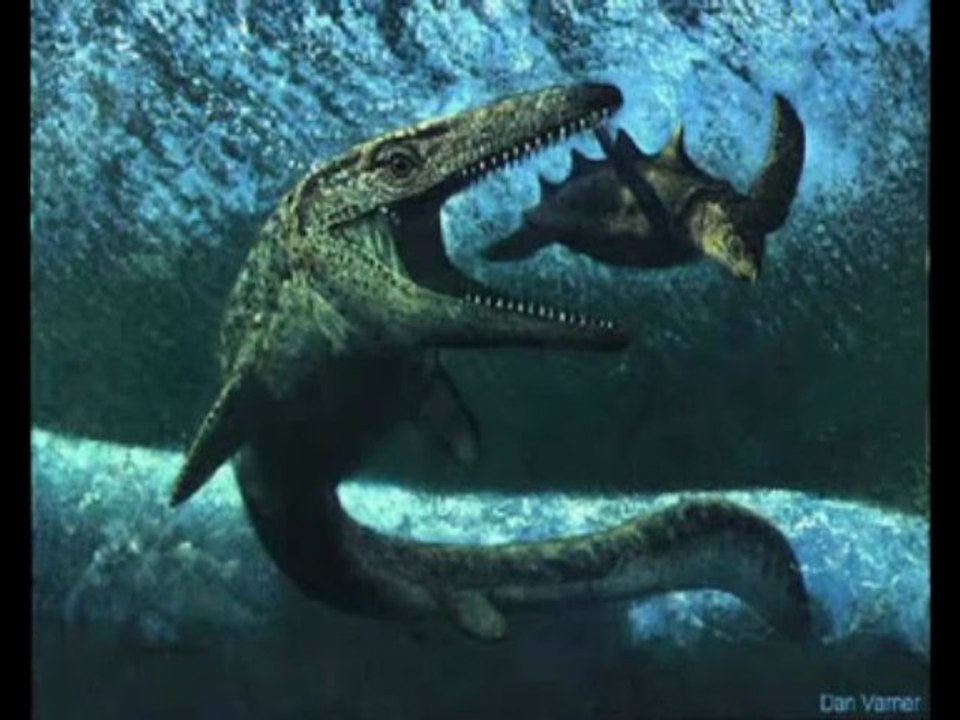 Florida Sea Monster Controversy - video Dailymotion