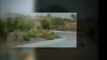 Landscaping in Prescott AZ - Concepts to Reality Landscaping