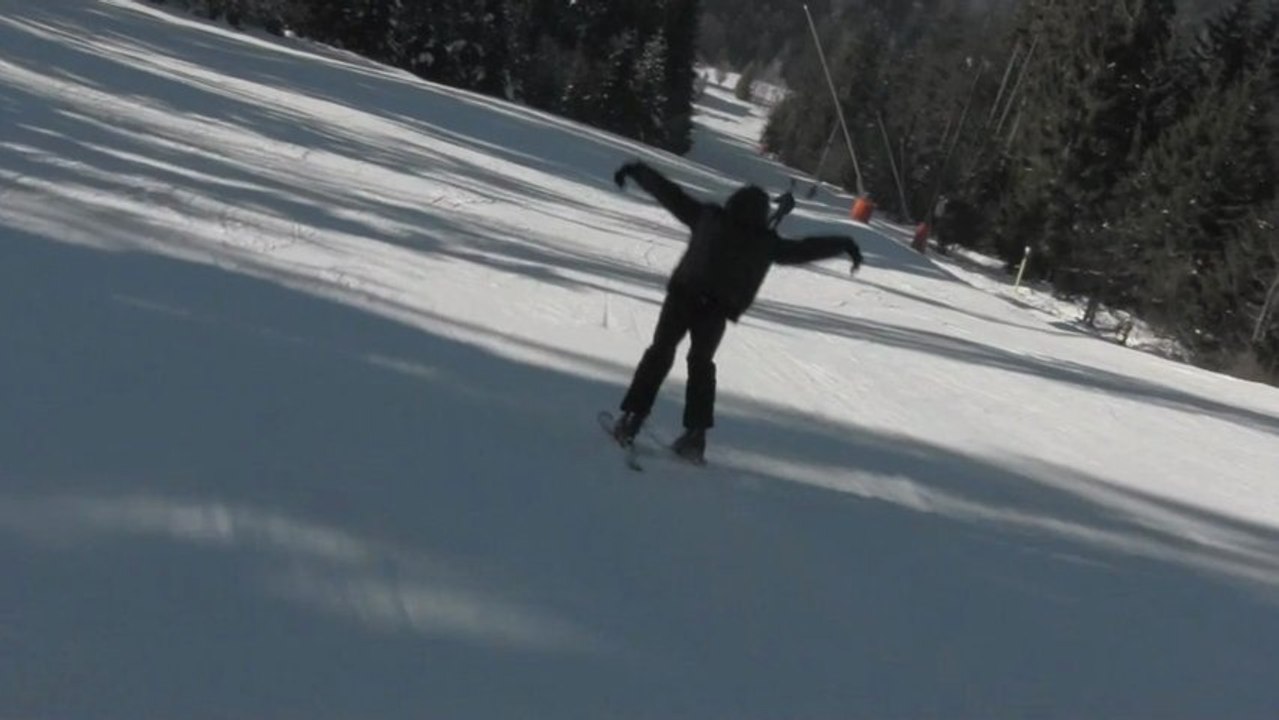 Freestyle Skiing 2013 Annonce