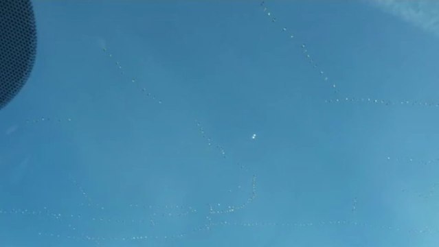 UFOs over Quebec, Canada 17 November 2012