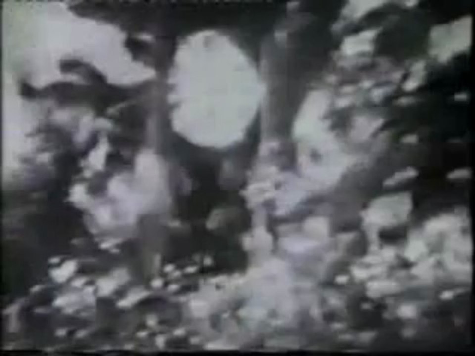 1965 Presentacion Modelos del año