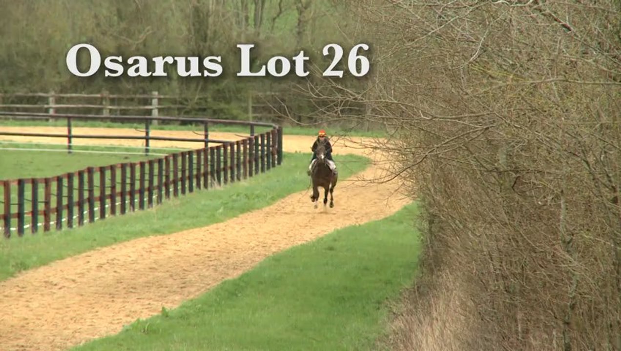 Vente Osarus Pornichet 30 avril 2013 Lot#26
