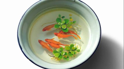 Ces animaux aquatiques hyperréalistes sont des peintures 3D