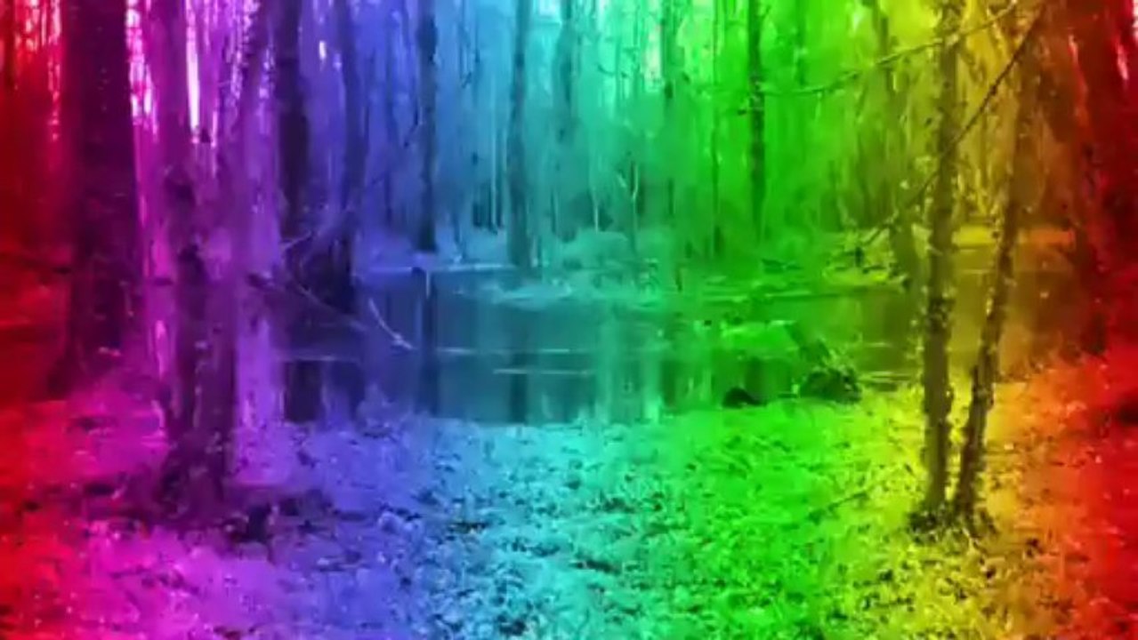 TU N'AURAS PAS LE TEMPS