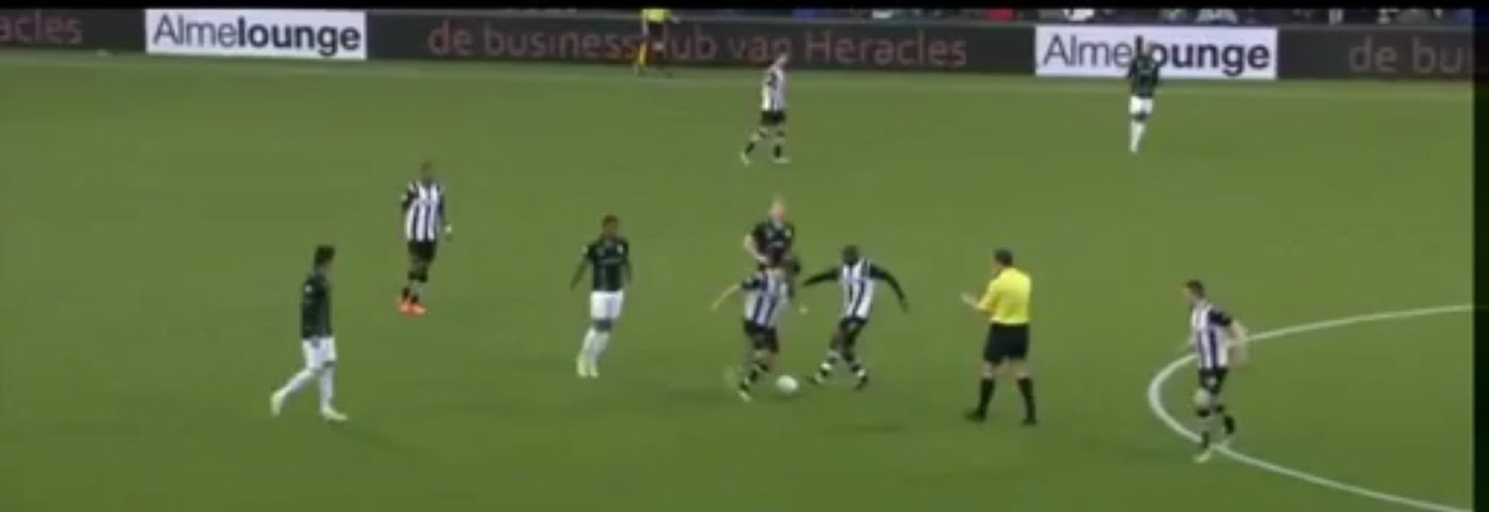 Во время футбольного матча в Голландии на поле выбежал кот