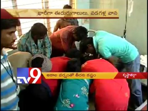 Farmers suffer due to unseasonal rain in State