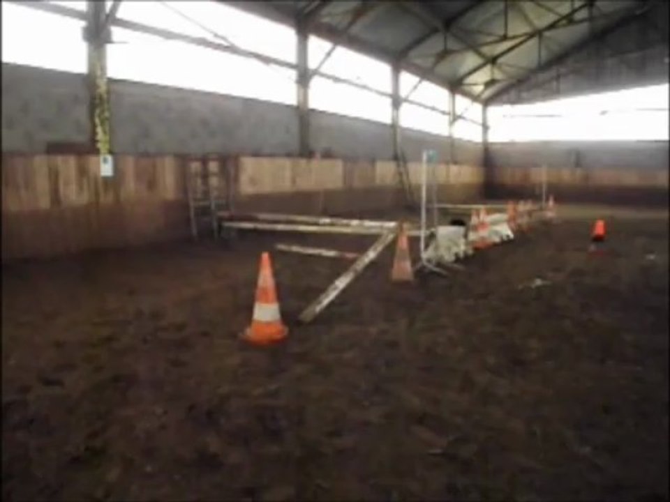 Belouga entraînement saut