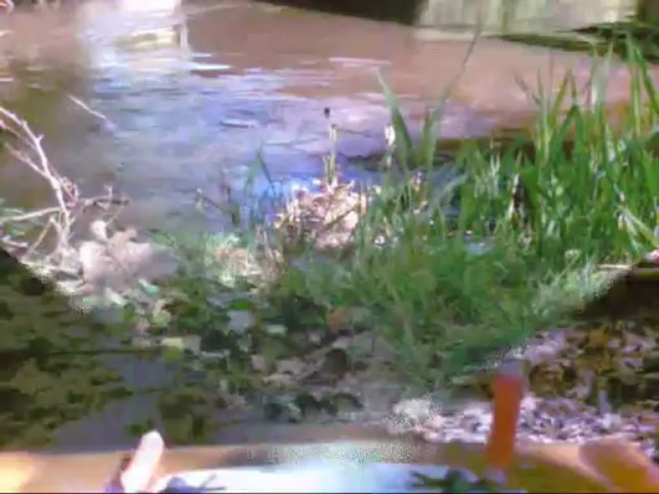 sortie du 21 Avril 2013