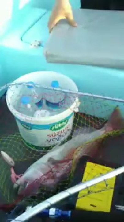 Antalya jig ile Sinarit avı