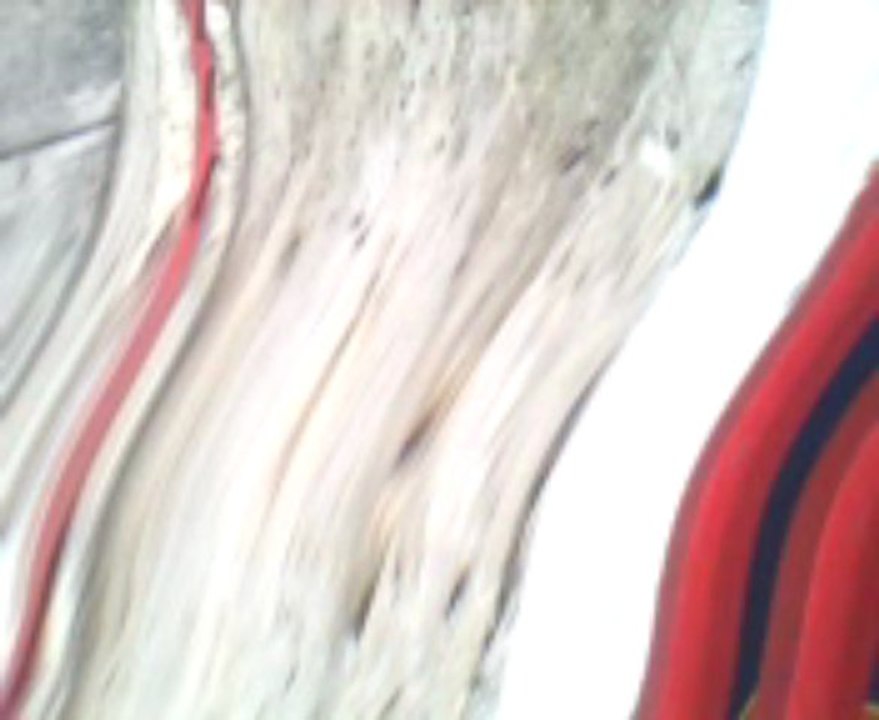 Guardia...hay mas o menos se puede evidenciar  como  la guardia nacuional bolivariana en el estado tachira san antonio a solo metros de la aduana comtrabandea con motos gasolina pero si un ciudadano comun va echar no le permiten deberian aser un reportaje