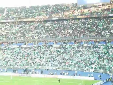 Finale Coupe de la Ligue ASSE-Rennes - Grecque