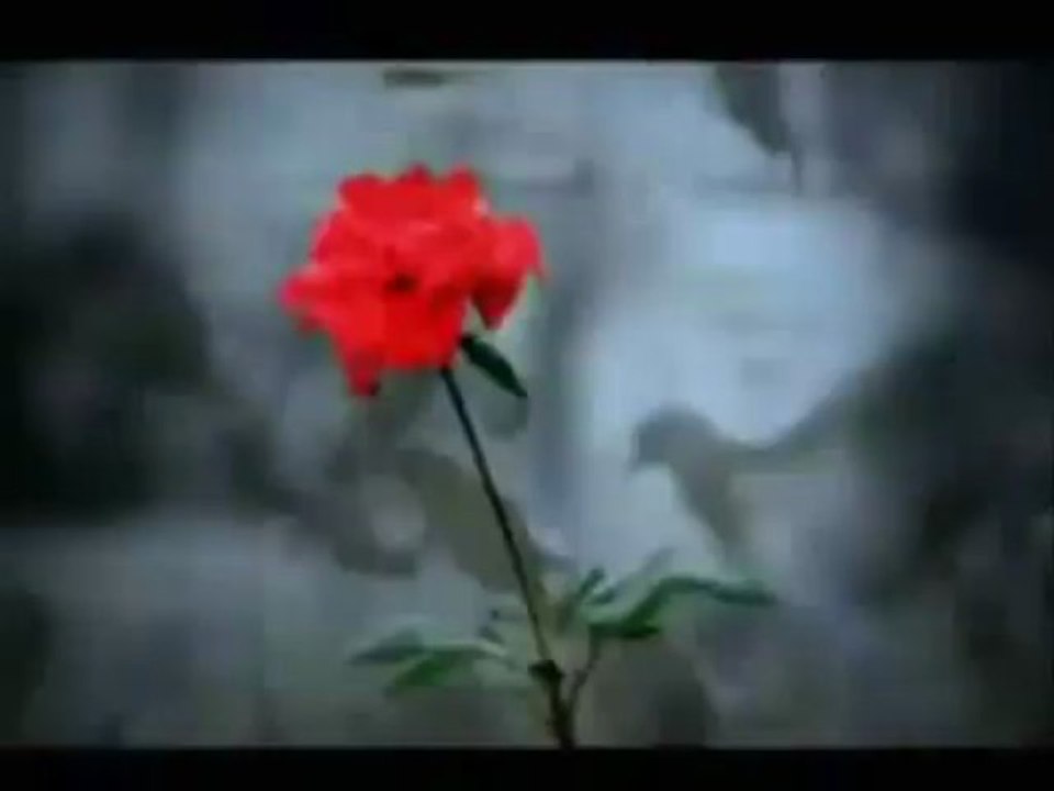 Gönlümde sevgilim...