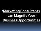 Marketing Consultants can Magnify Your Business Opportunities