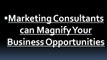 Marketing Consultants can Magnify Your Business Opportunities