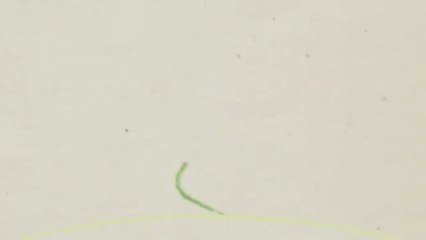 King Lawn Care - (985) 876-6957