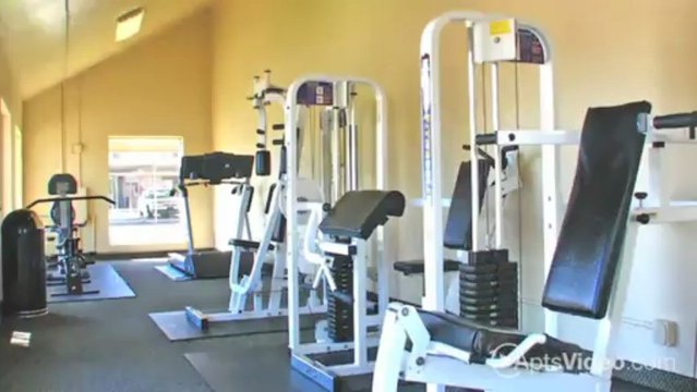 Coral Point Apartments in Mesa, AZ - ForRent.com