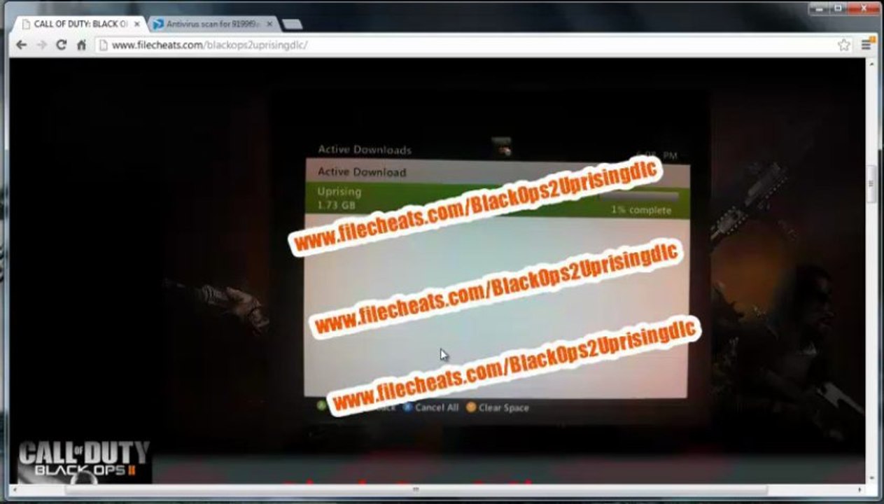 Black ops 2 Uprising dlc Redeeming Code Proof