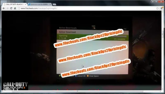 Black ops 2 Uprising dlc Redeeming Code Proof