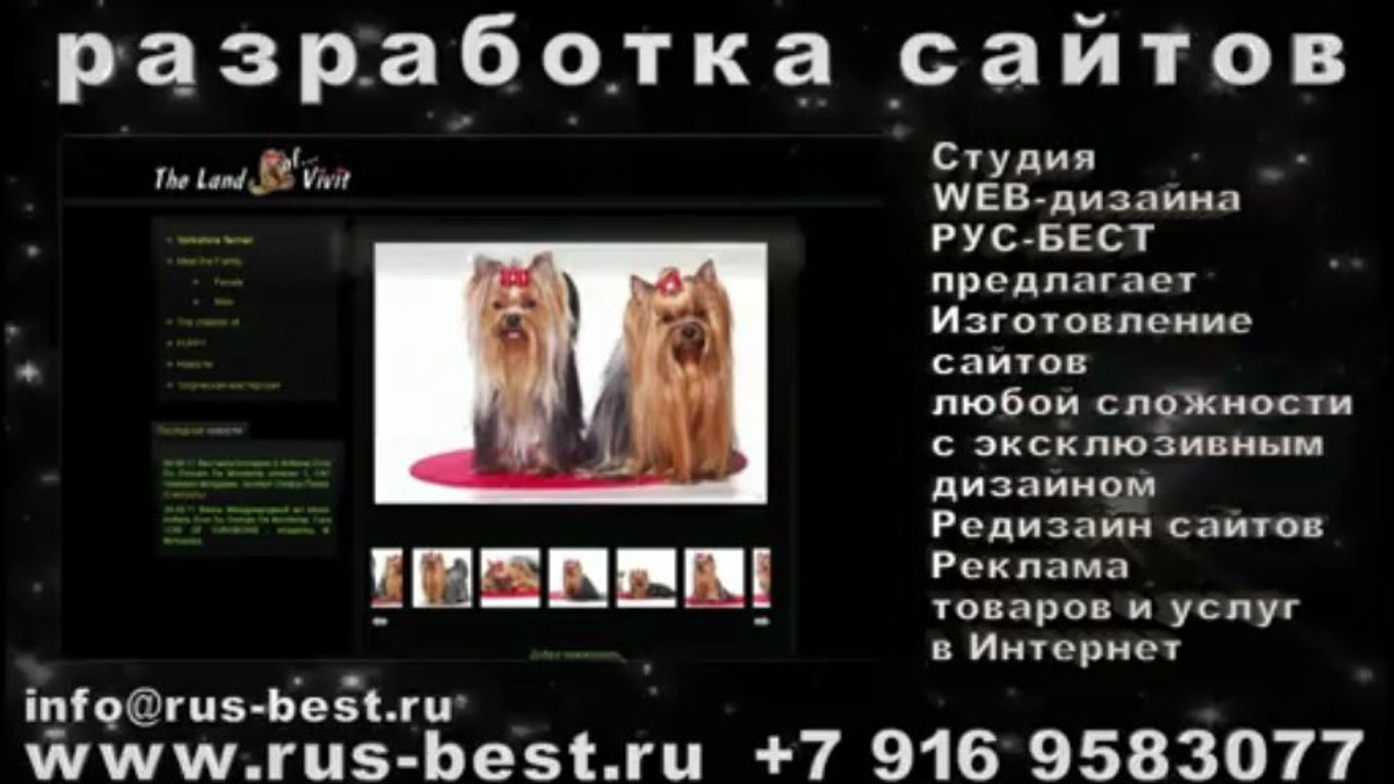 продвижение сайтов