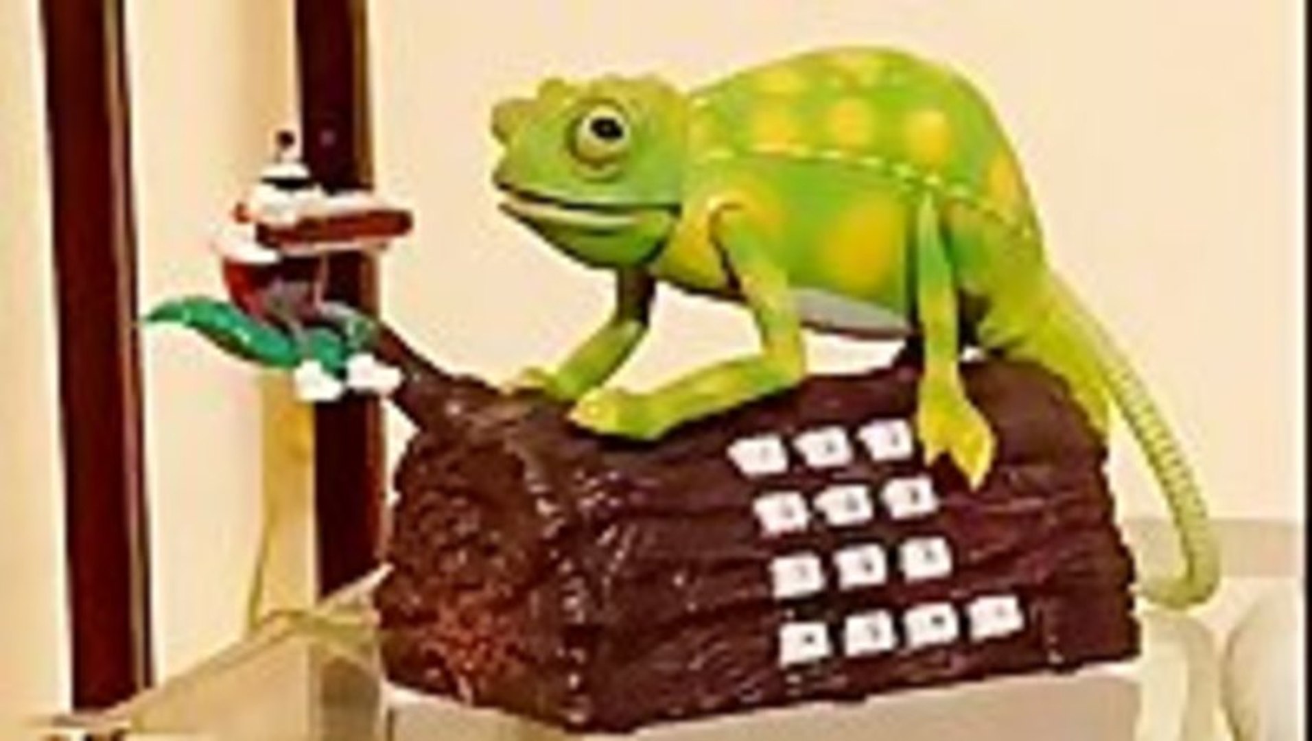 Karma Chameleon Phone
