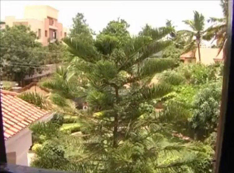 Phoenix Foundation video