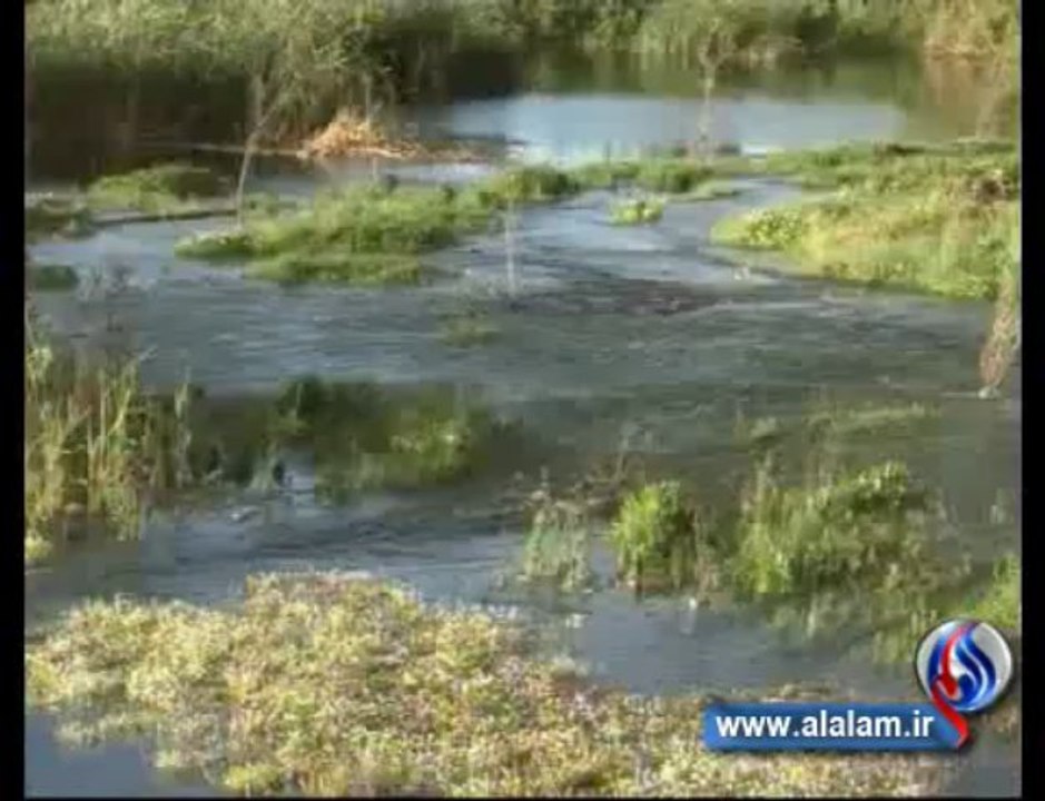 الجيش يستعيد عدة قرى بريف القصير ويحاصر المسلحين