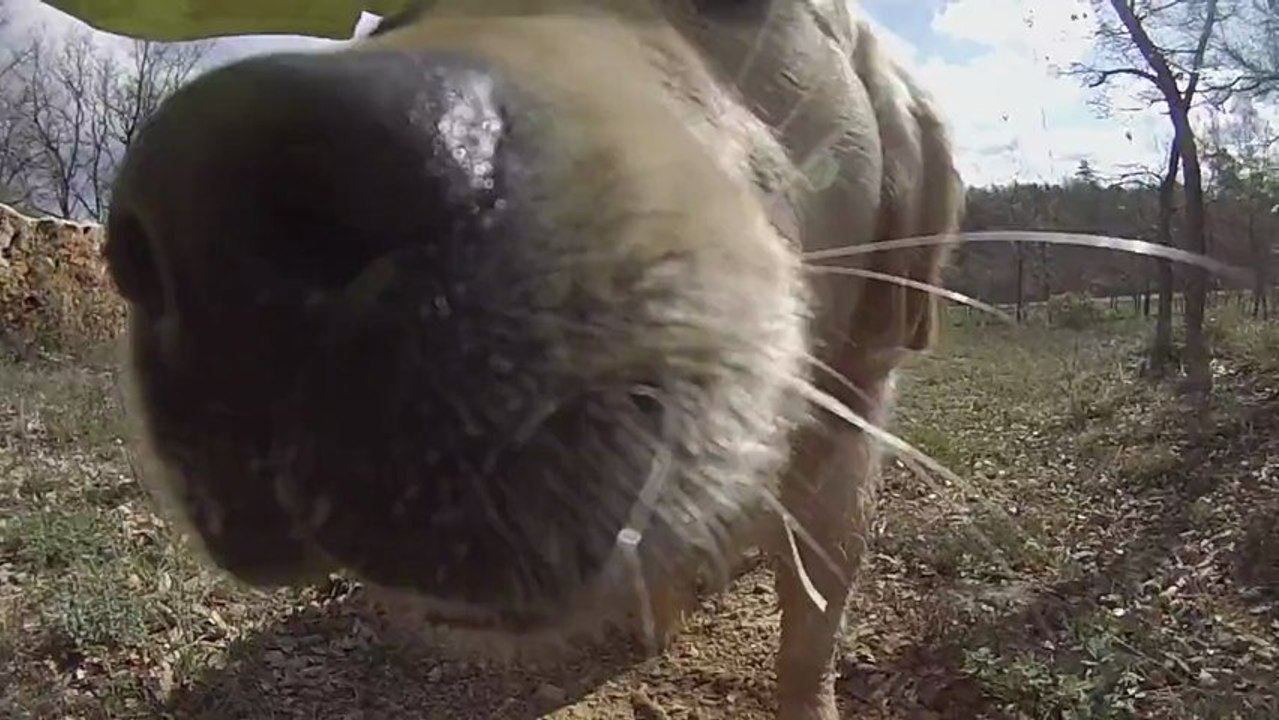 Entrainement RC 20 04 13