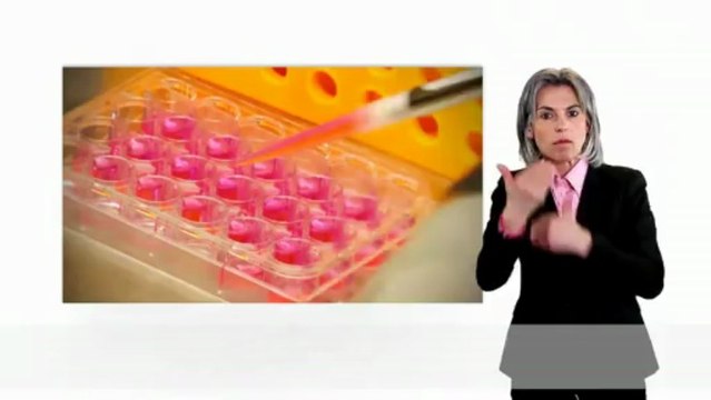 Citoyens engagés : Action de réflexion collective - langue des signes