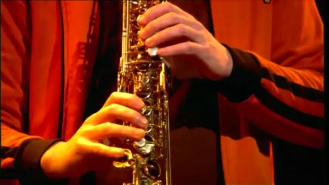 Entre Vues 2011 - Manuel Hermia Trio