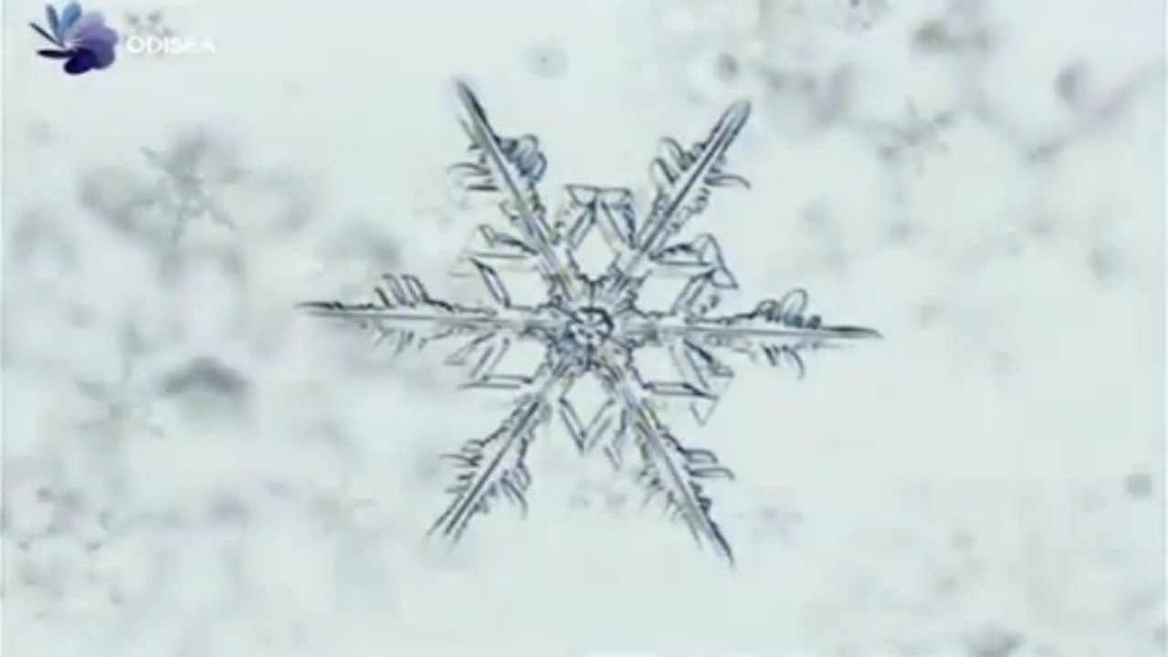 Formas - Códigos secretos