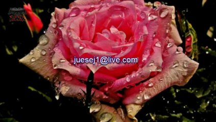 LULE NATYRALE1---( HDjuesej1 )---HQ