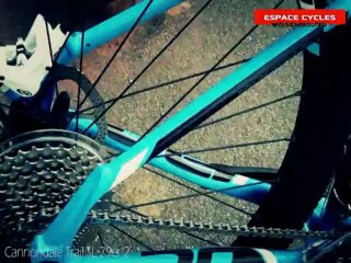 Cannondale Trail SL 2 29er - 2013