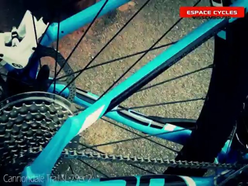 Cannondale Trail SL 2 29er - 2013