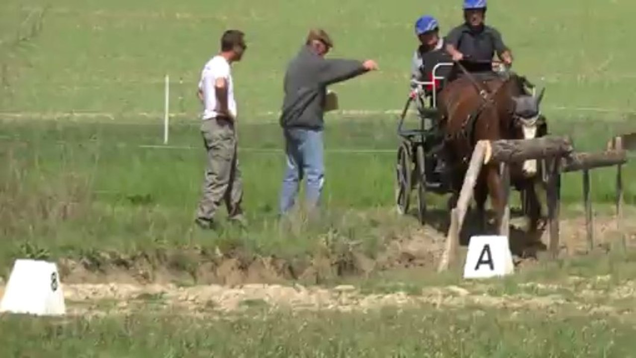Journée nationale de l'attelage loisir aux Crins de Gaïa à Forcalquier